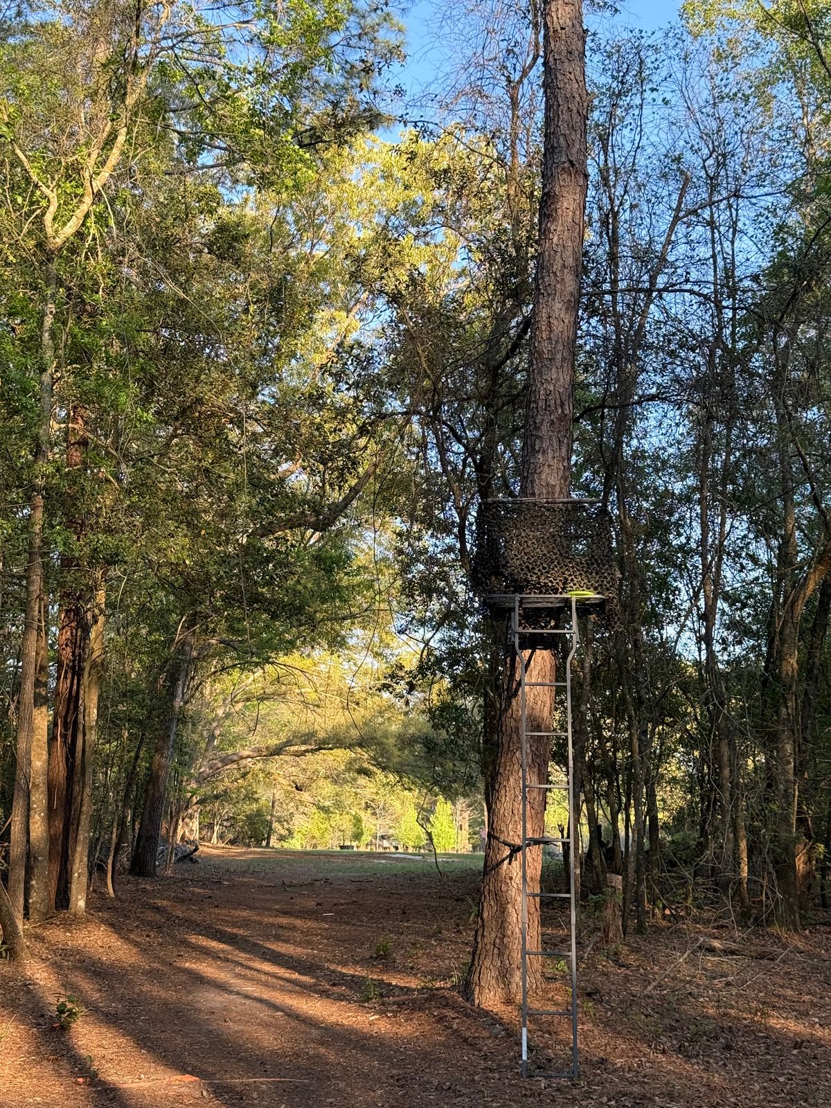 hole 14 upshot position