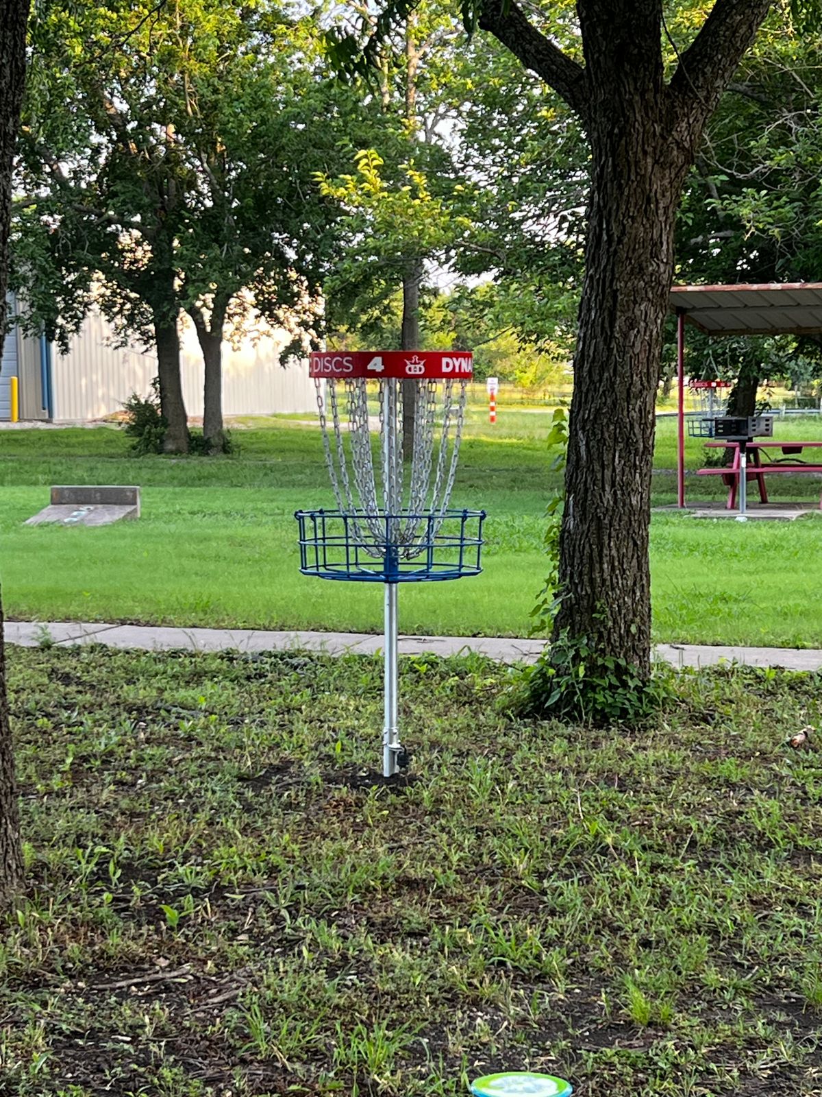 Hole # 4 Basket