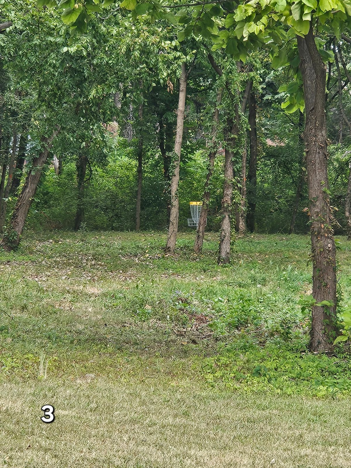 Hole 3