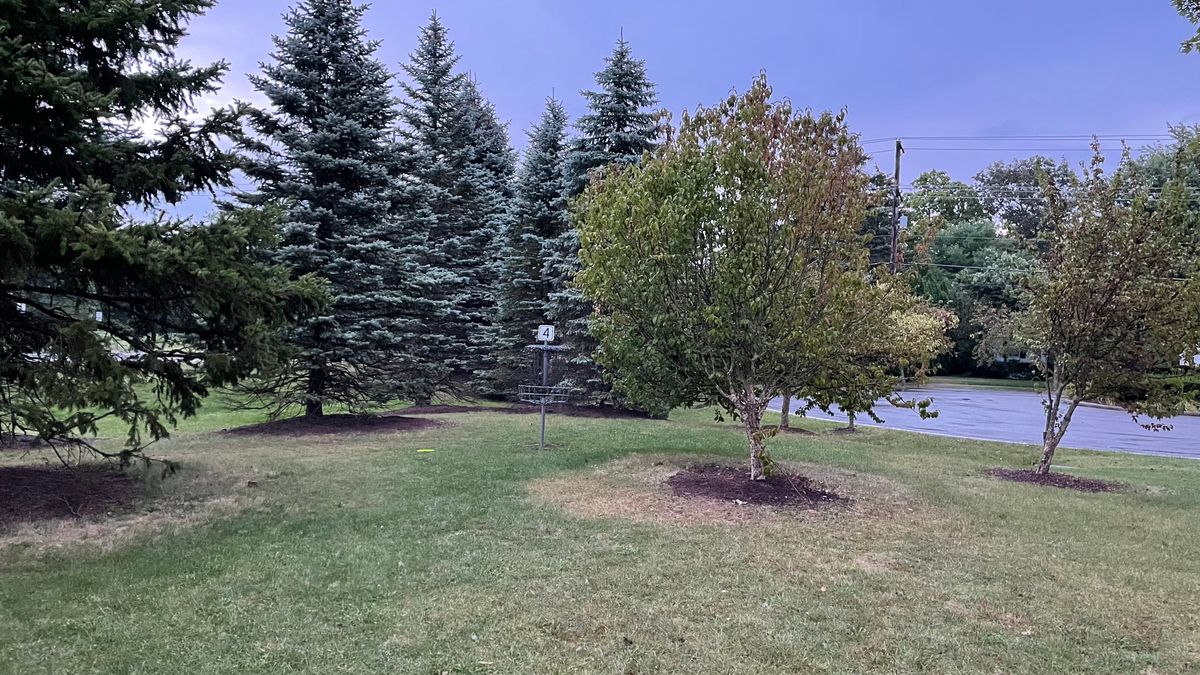 Hole 4