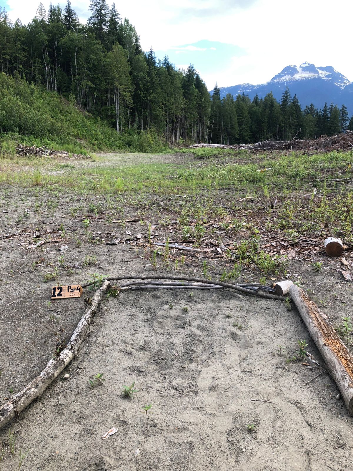Hole 12 tee, follow road to the hanging orange propane tanks to the left.