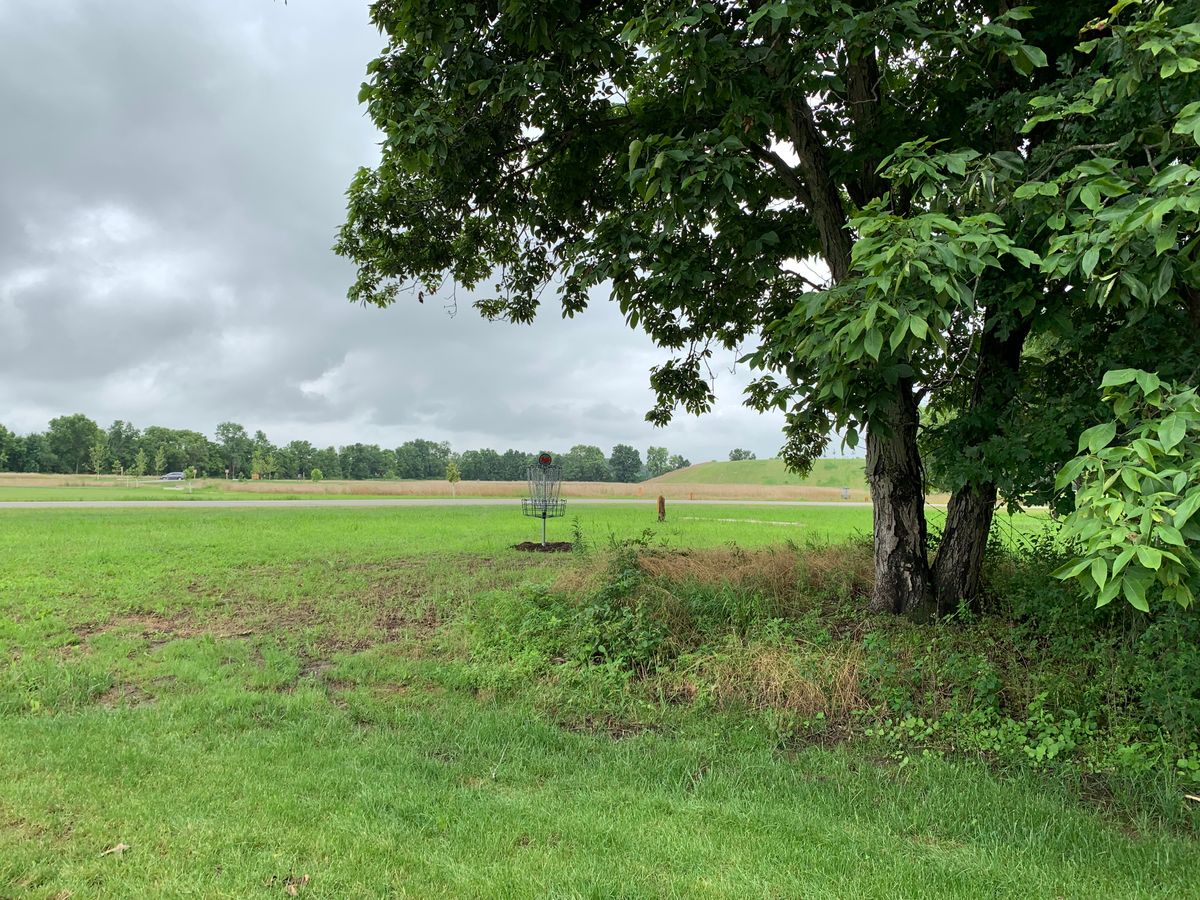 Hole 14 basket at turn