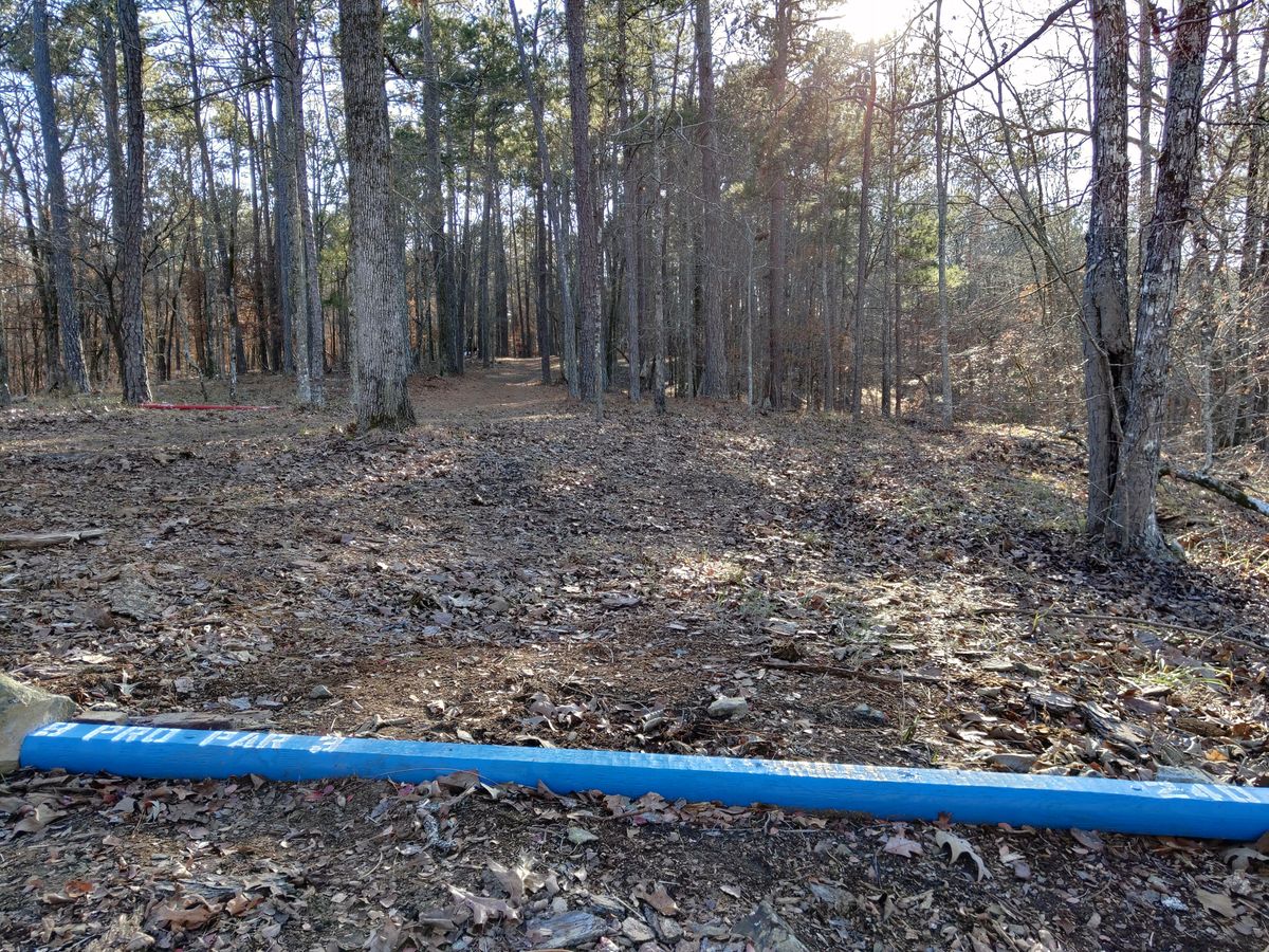 Hole 9 Pro Tee