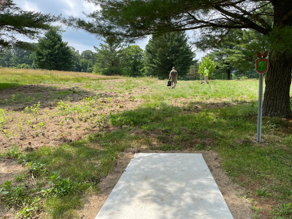 Red Tee, Basket is 60' behind large pine