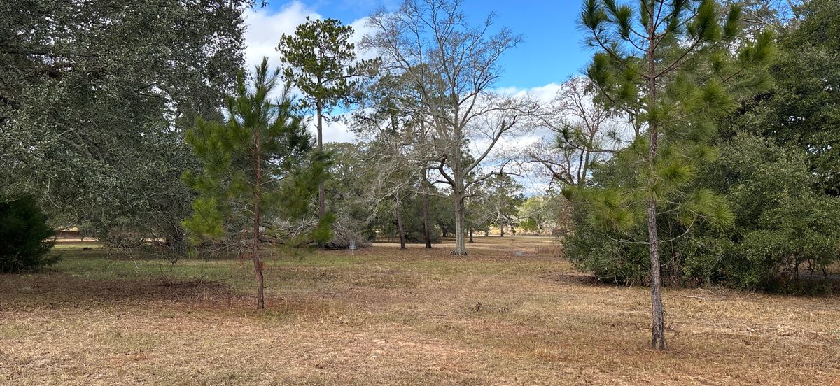 Hole 5 Blue