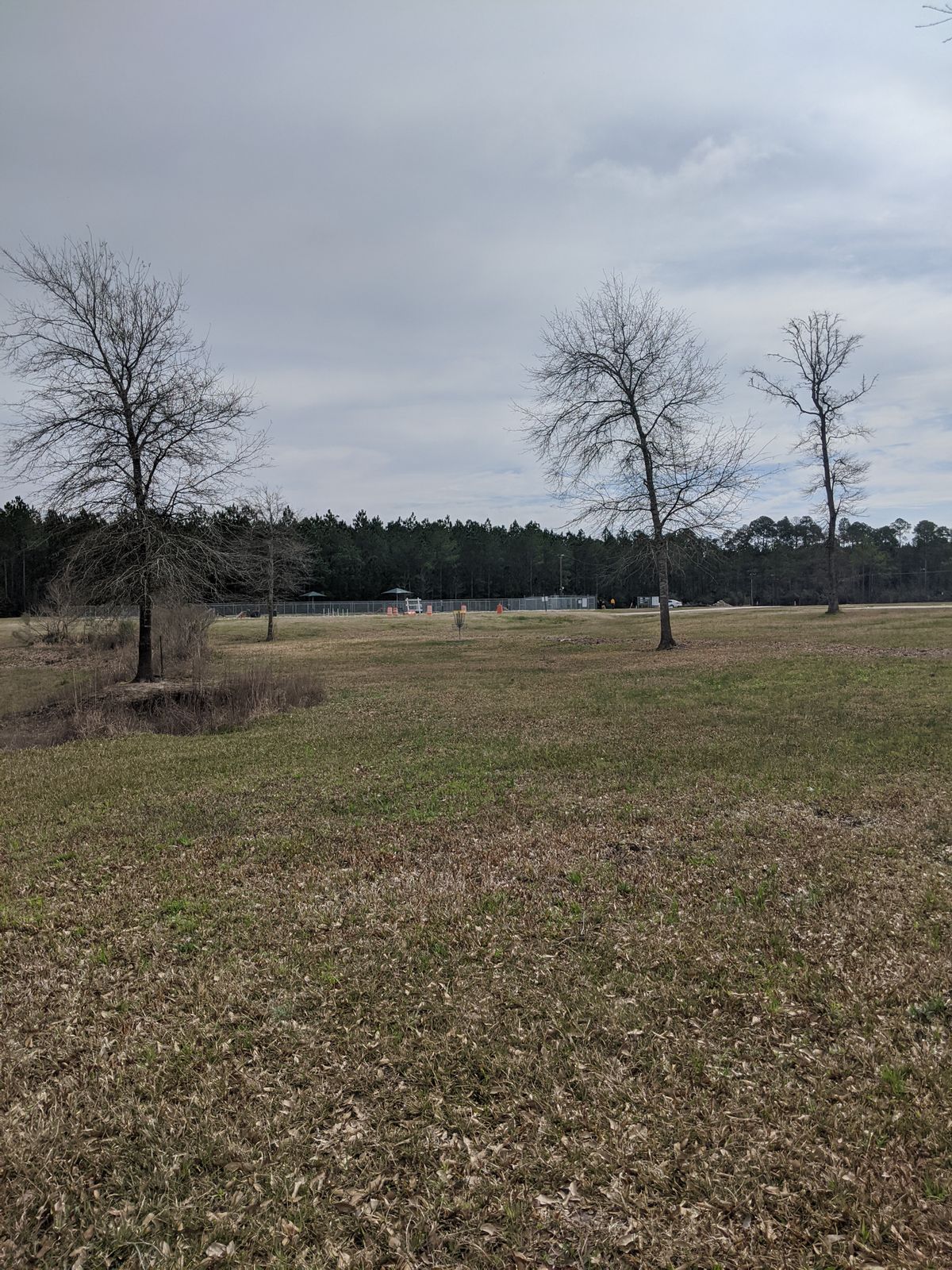 Hole 12 Fairway