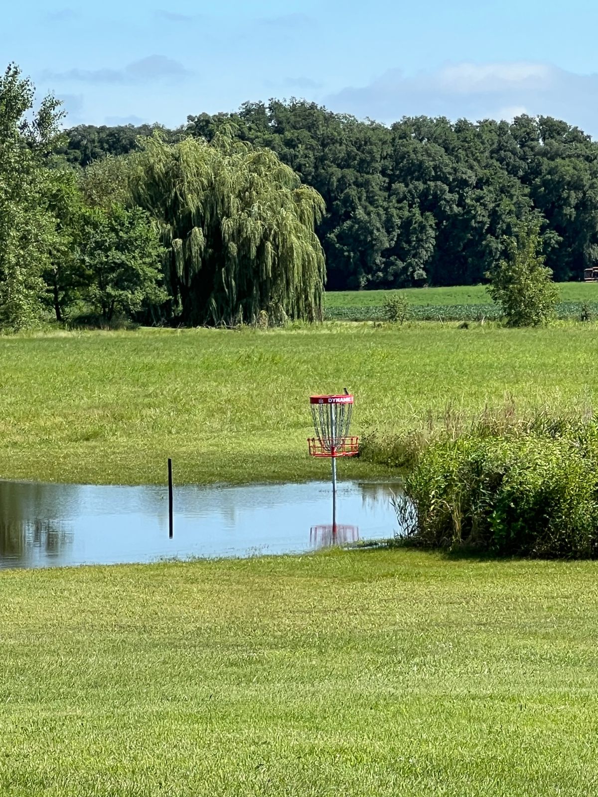 Little wet today after the storms. July 29,2025