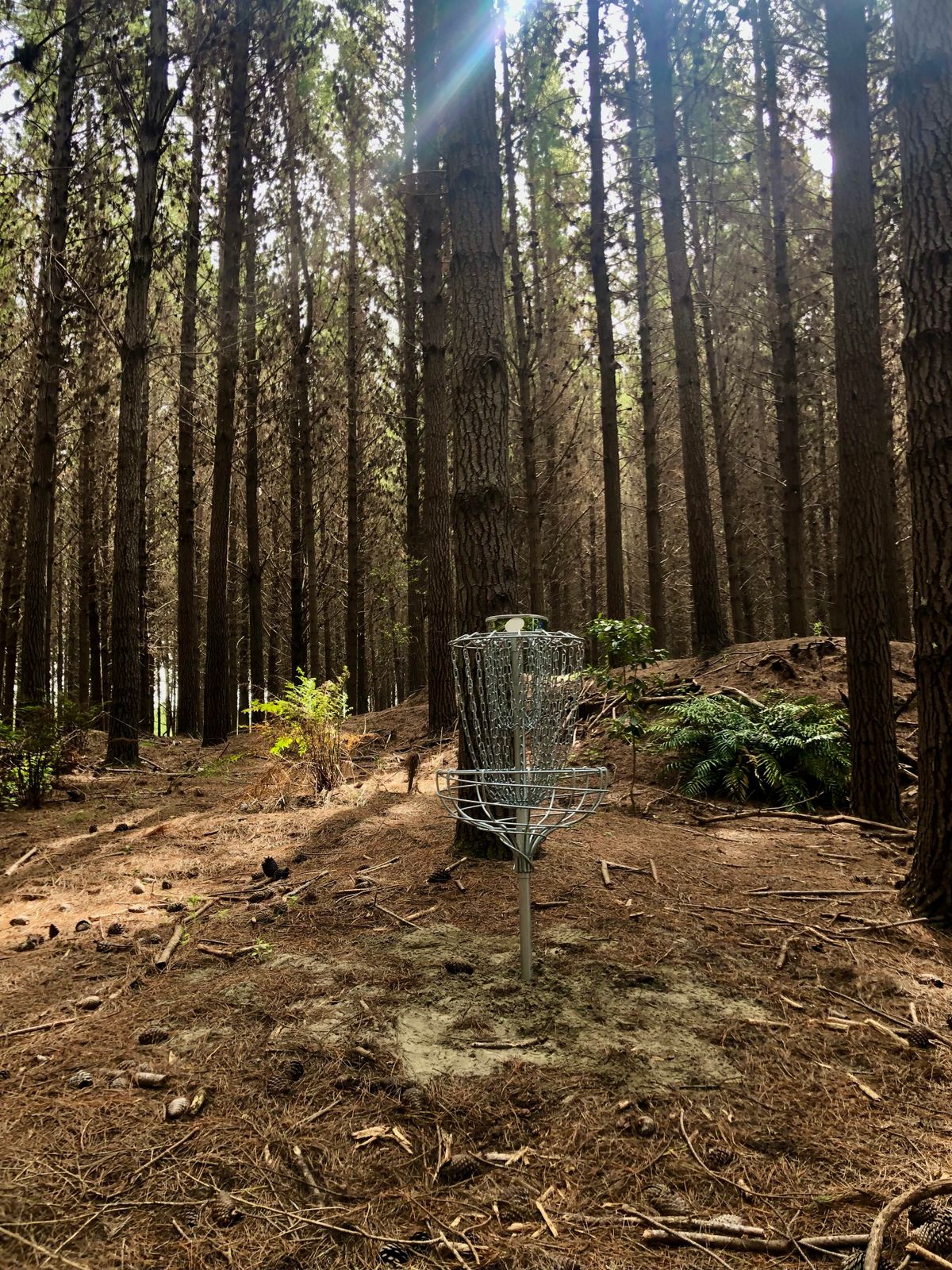 Vanilla’s Basket (hole 4)