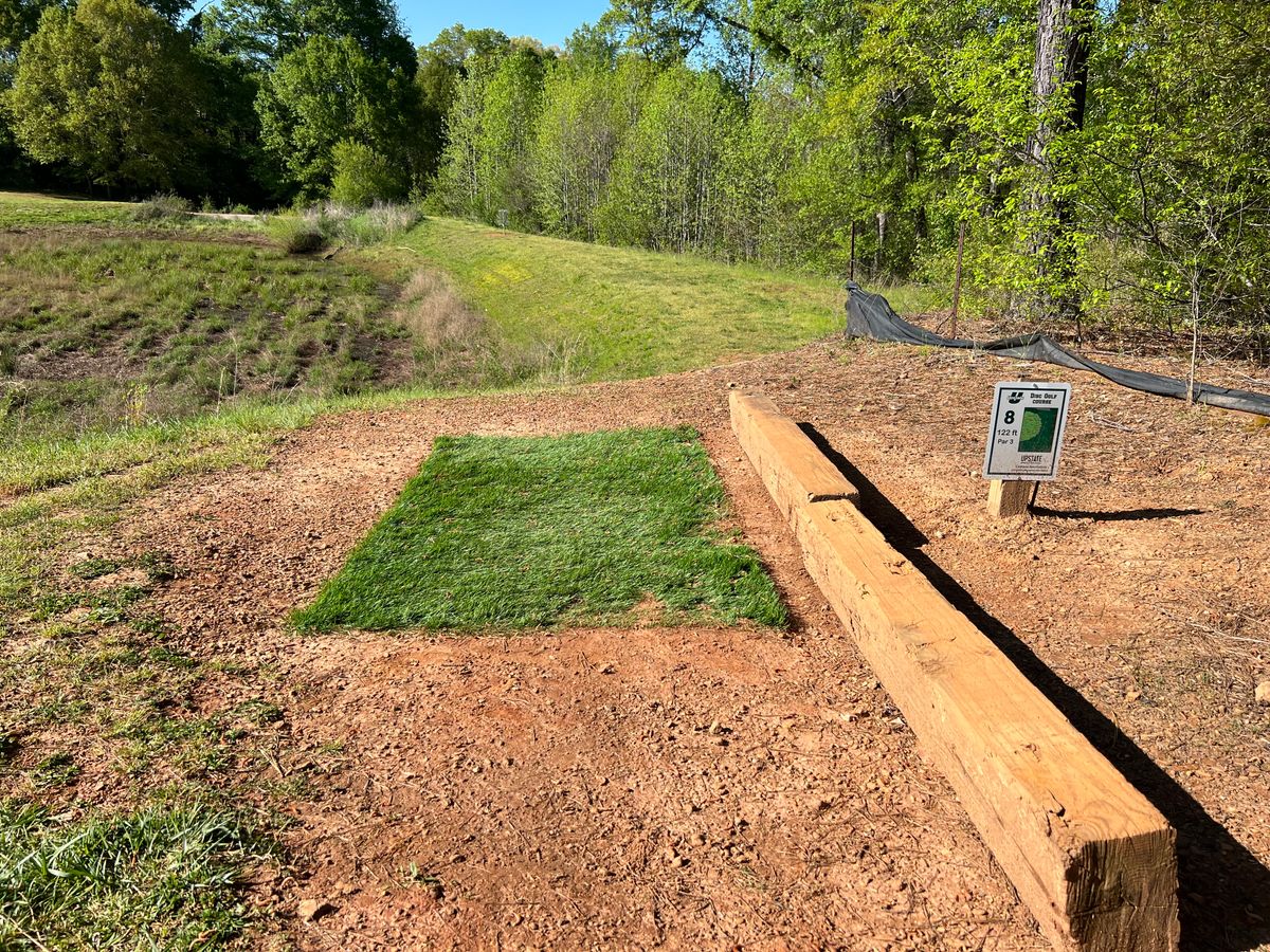 Hole 8 (2022)