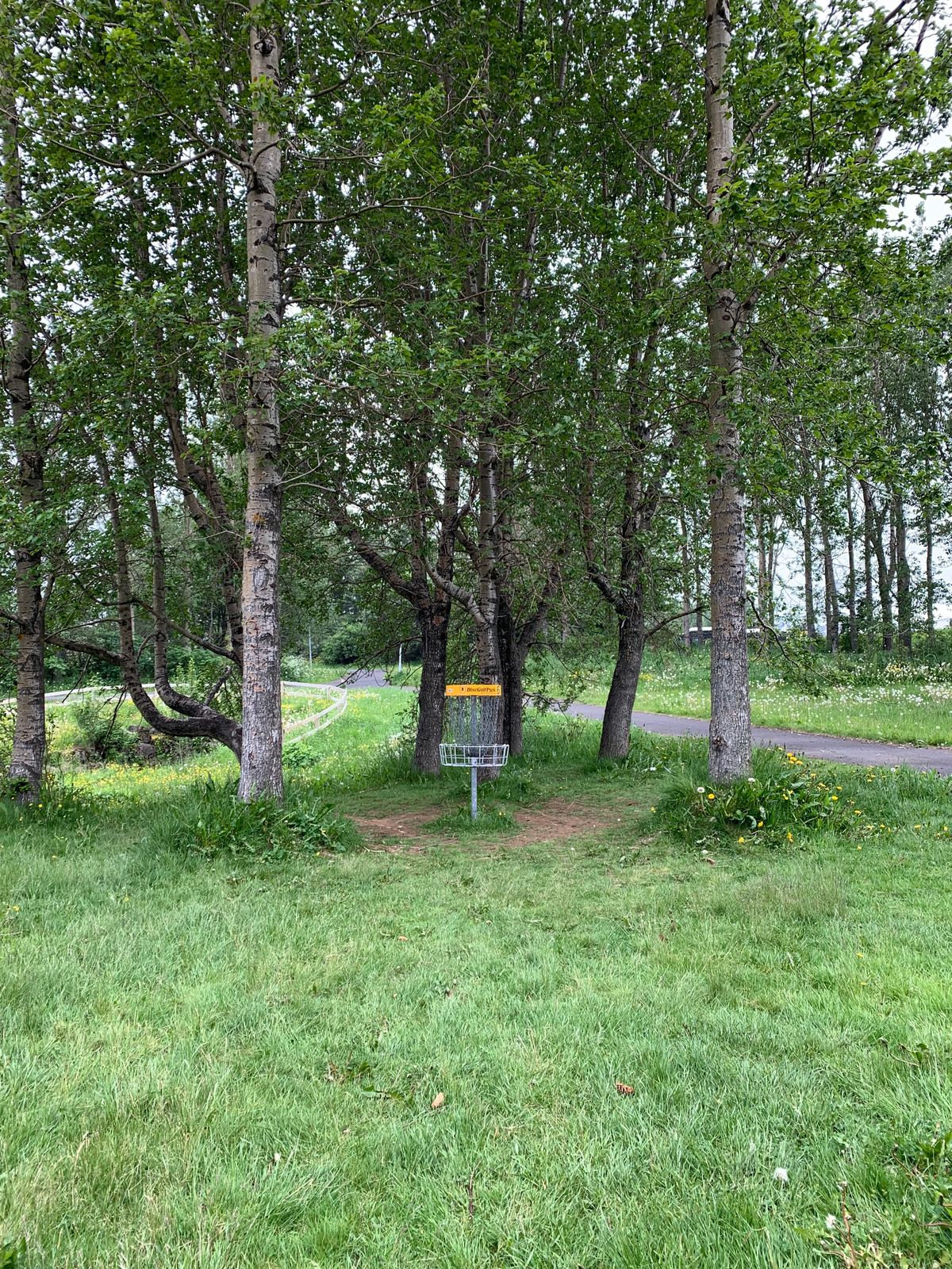 Hole 6