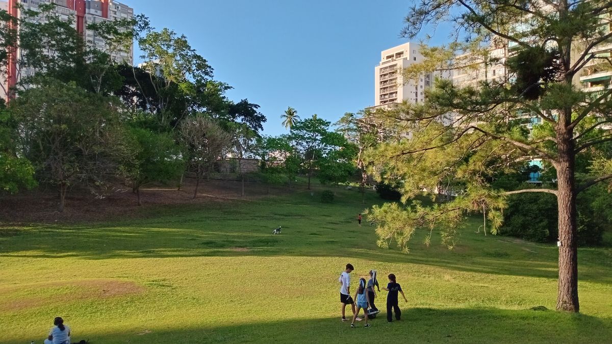 Parque Omar DG Course
Hole 7 Tee