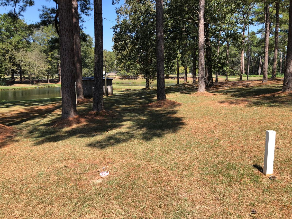 Hole 17 peninsula hole