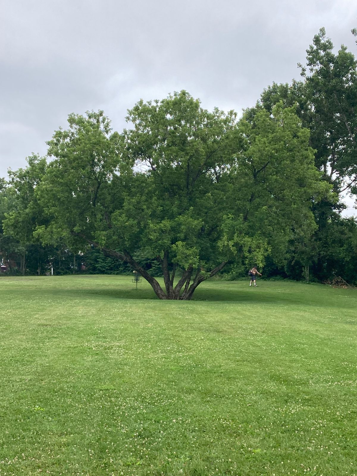 Beautiful trees throughout!