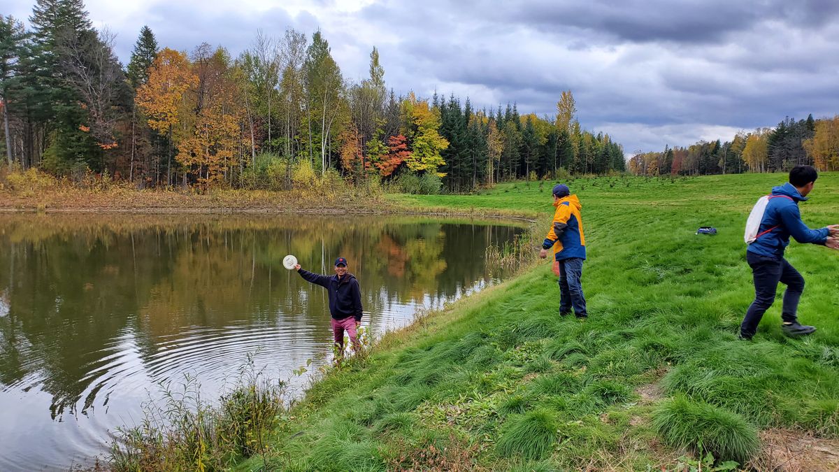 Hole 8 requires an 80m water carry to finish near the basket.