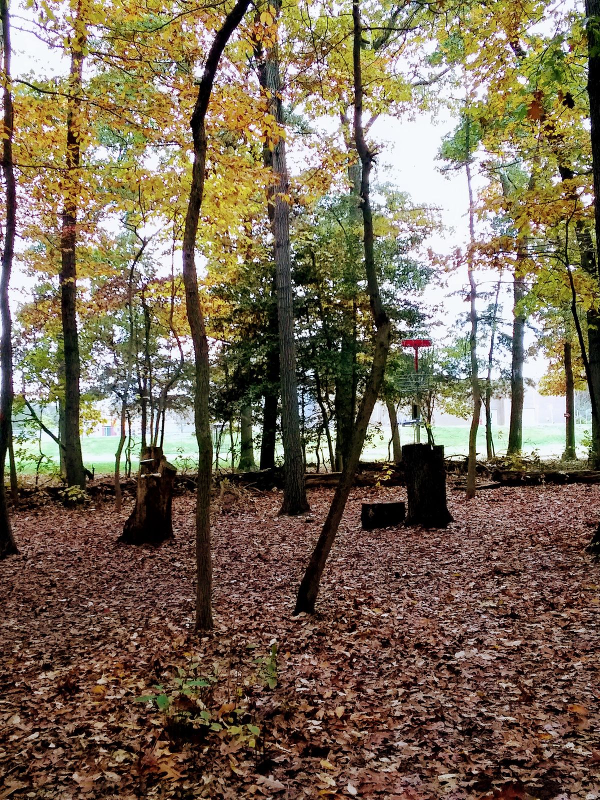 Hole 4 stumps