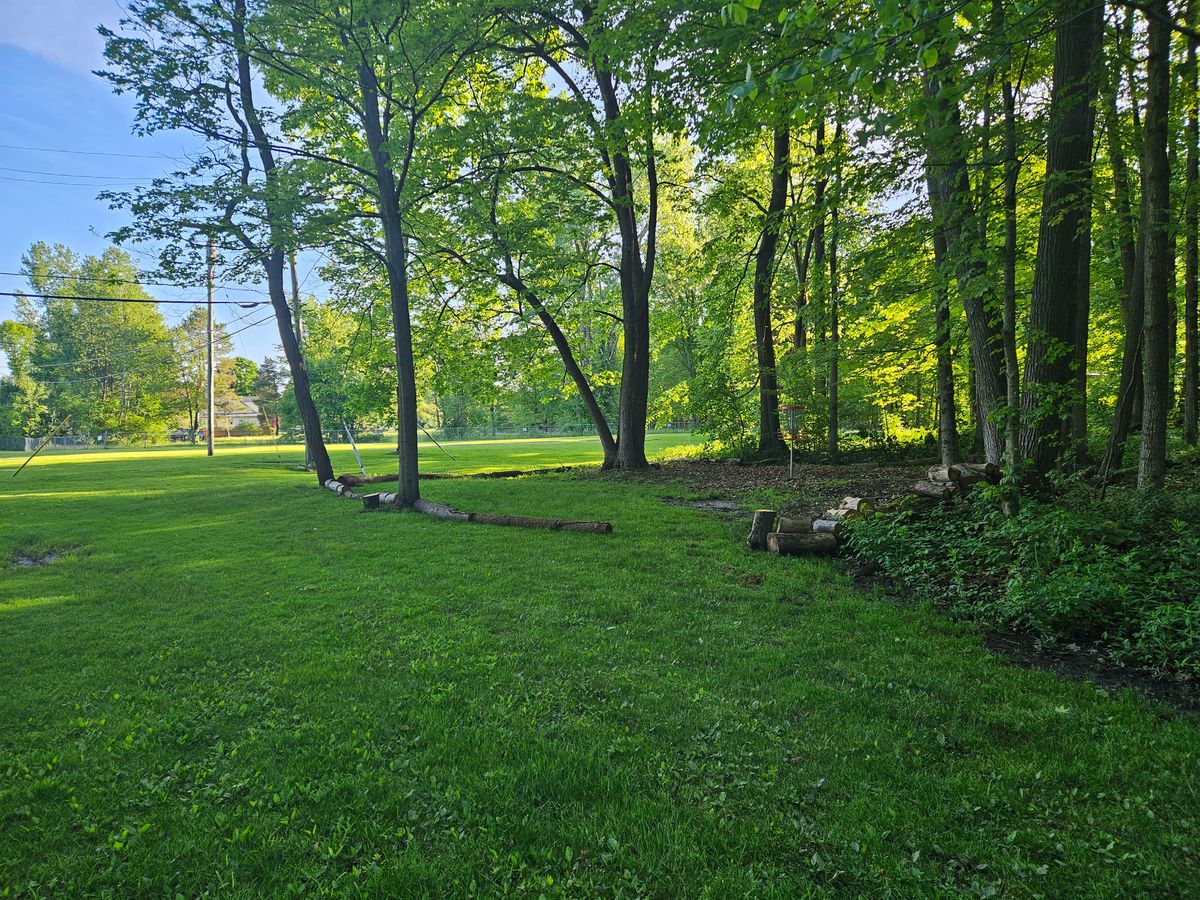 Hole 3 Basket Spring 2024, new Island feature in place.