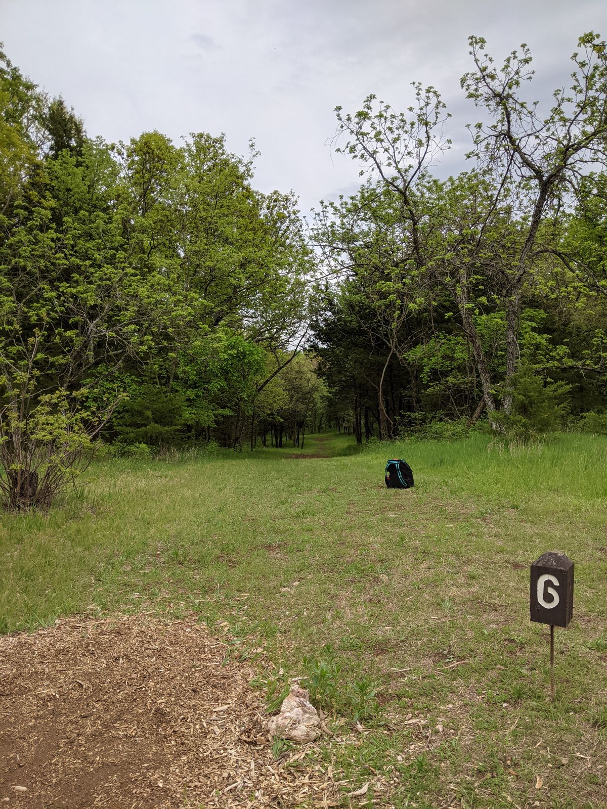 Tee 6