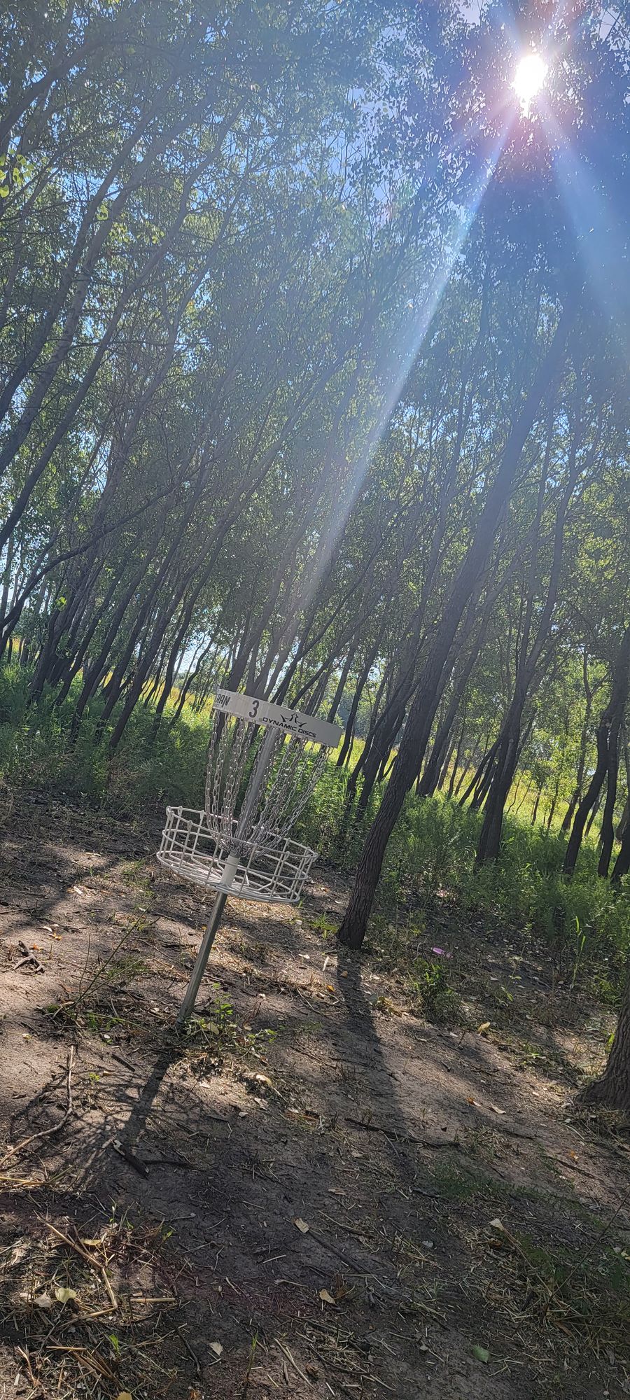 Hole 3 green