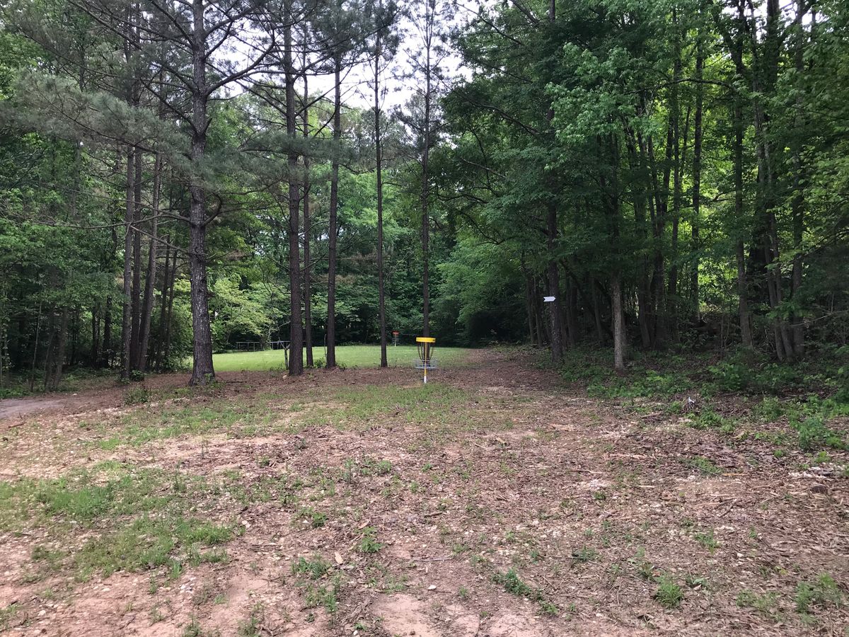 Hole 1 yellow green