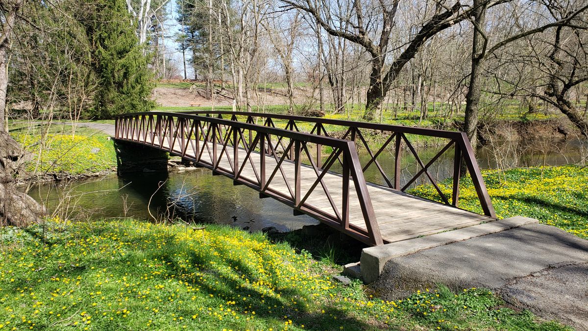 Back Bridge