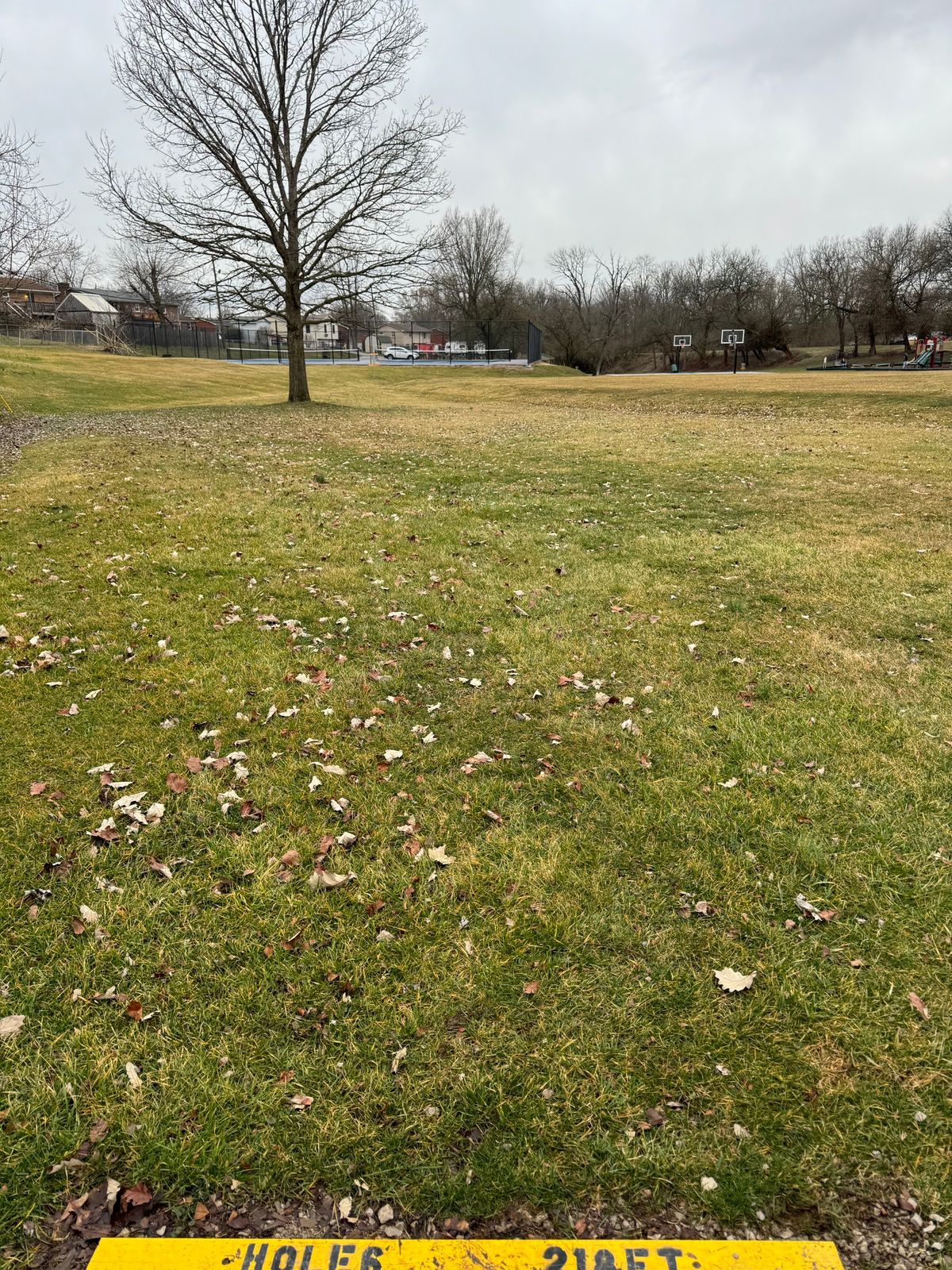 Hole 6 full approach view.