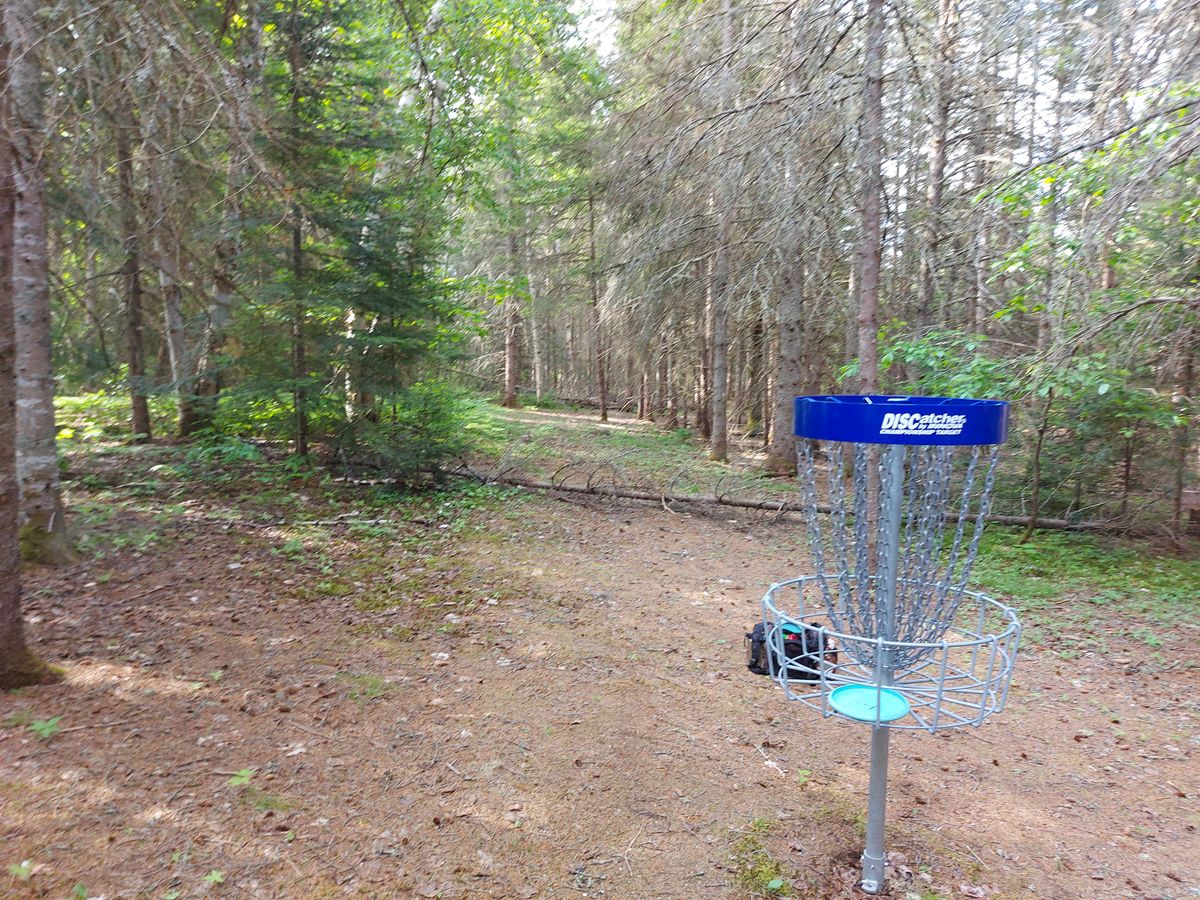 Reverse back up the fairway. On hole 4. 🍁🌲🍁🌲🍁🌲