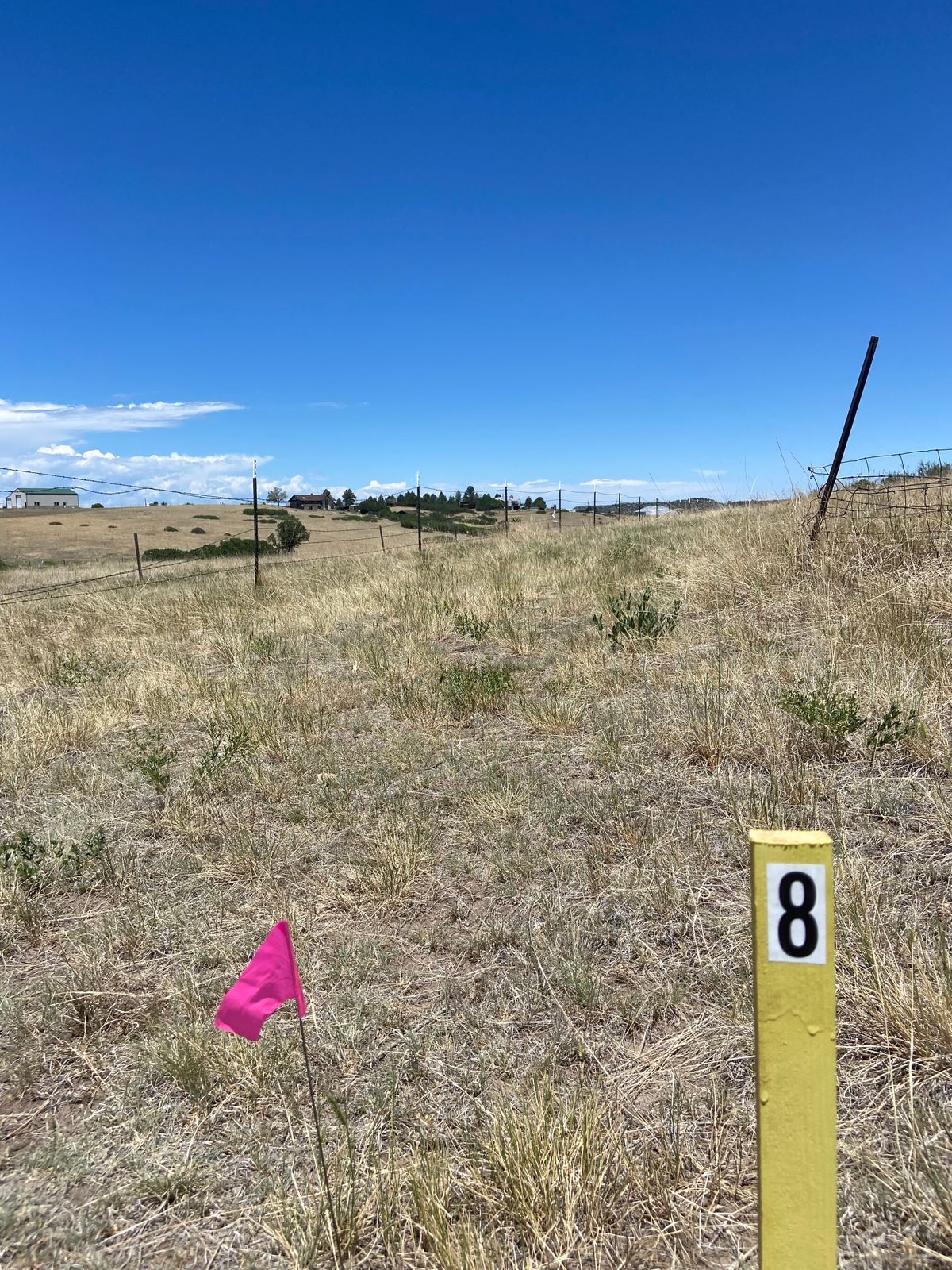 Hole 8 tee to basket