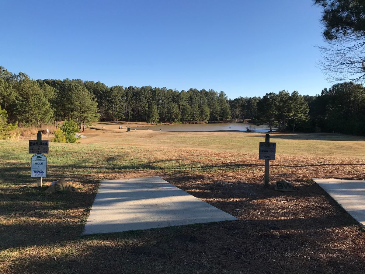 Separate first tees: Course 1 (right) throws short of pond, Course 2 (left) throws over pond left.