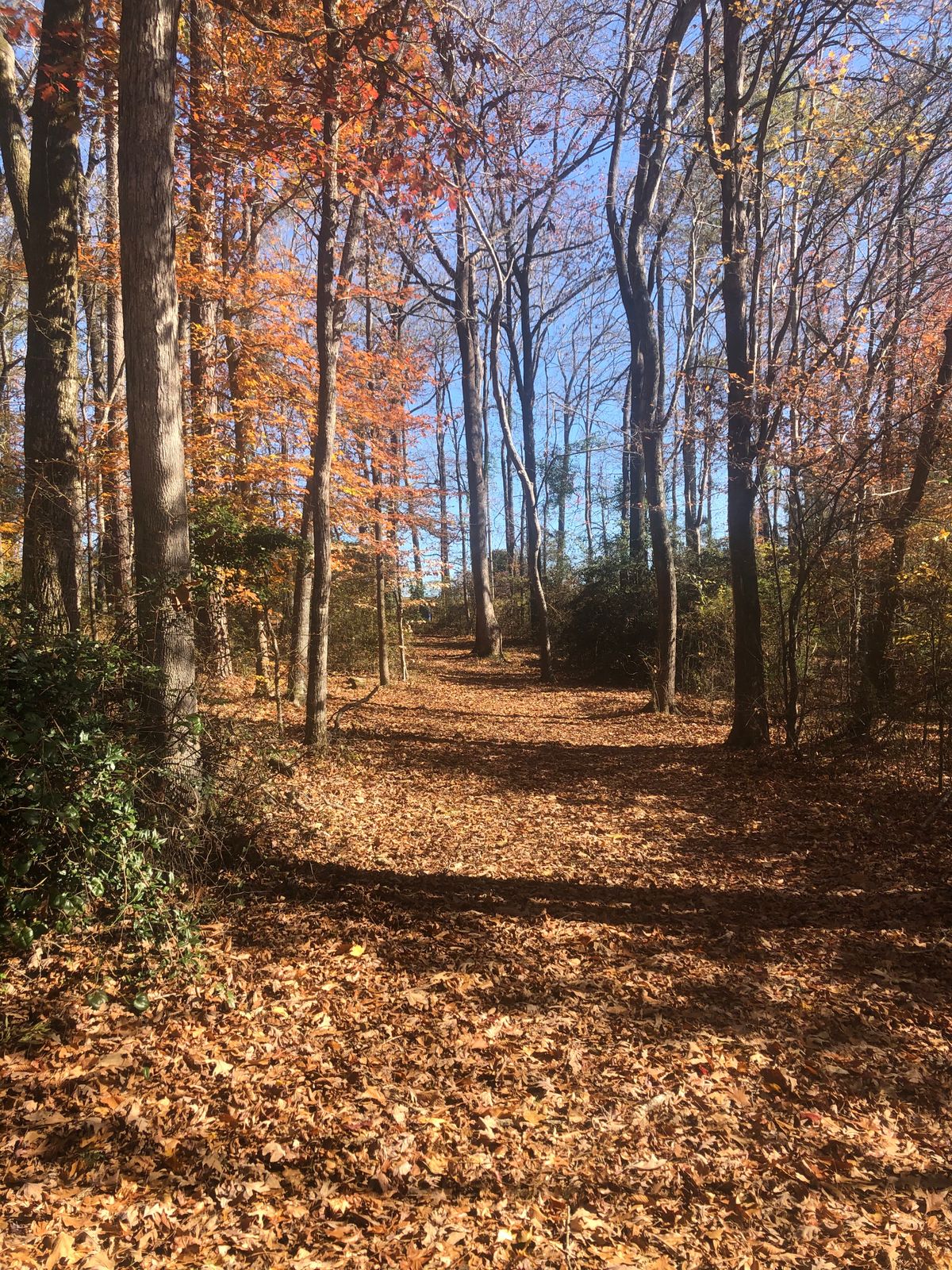 Hole 12