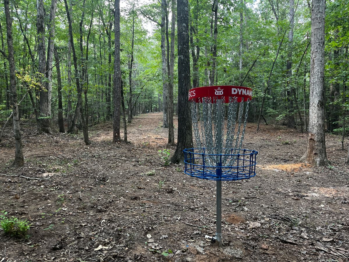 Hole 11 basket