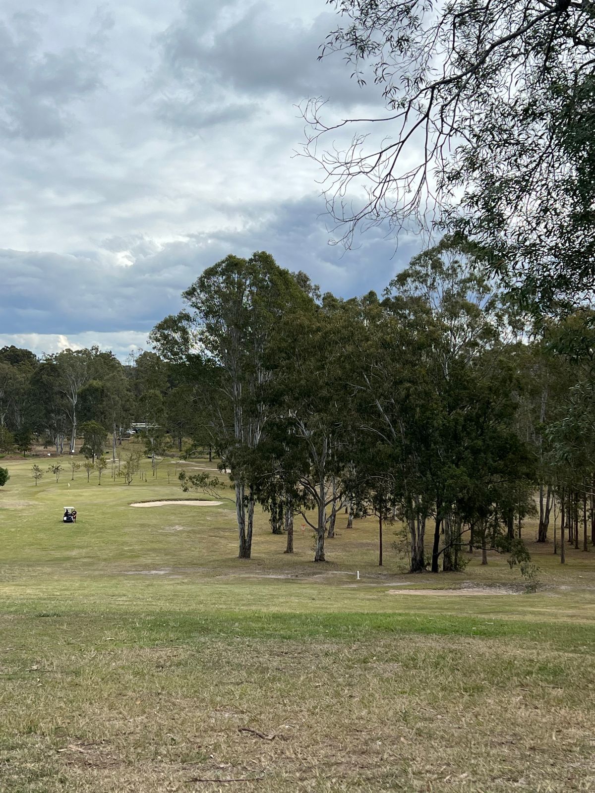 Hole 2, 40m elevation from tee to green.