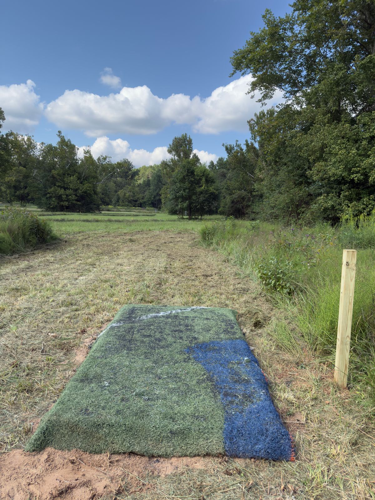 New short pad on hole #6