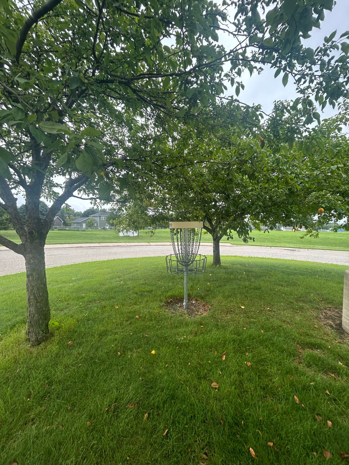 Hole 6