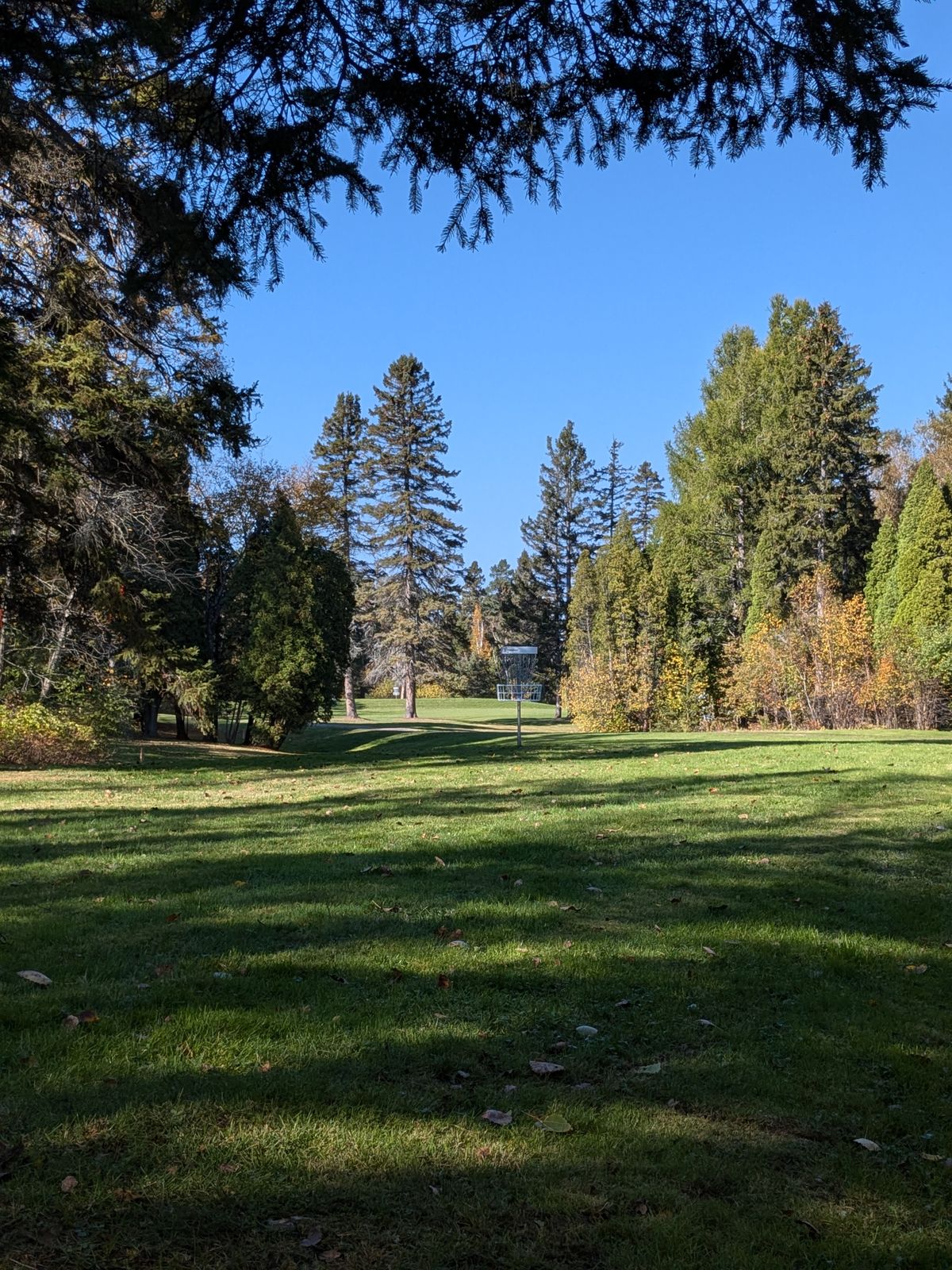 À partir du départ du #3. Vue du panier du #10 (et du #6 complètement en arrière)