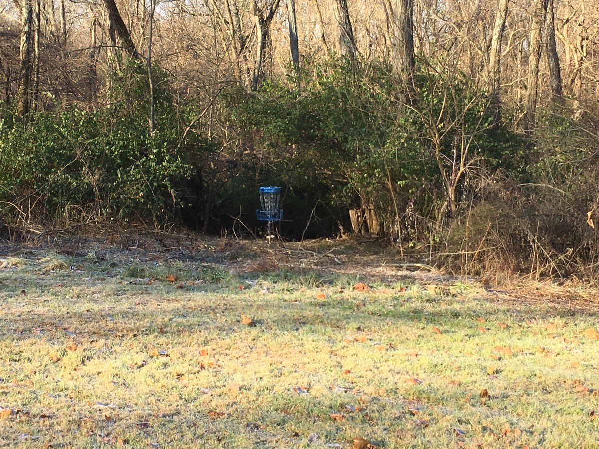 Hole #6 basket.