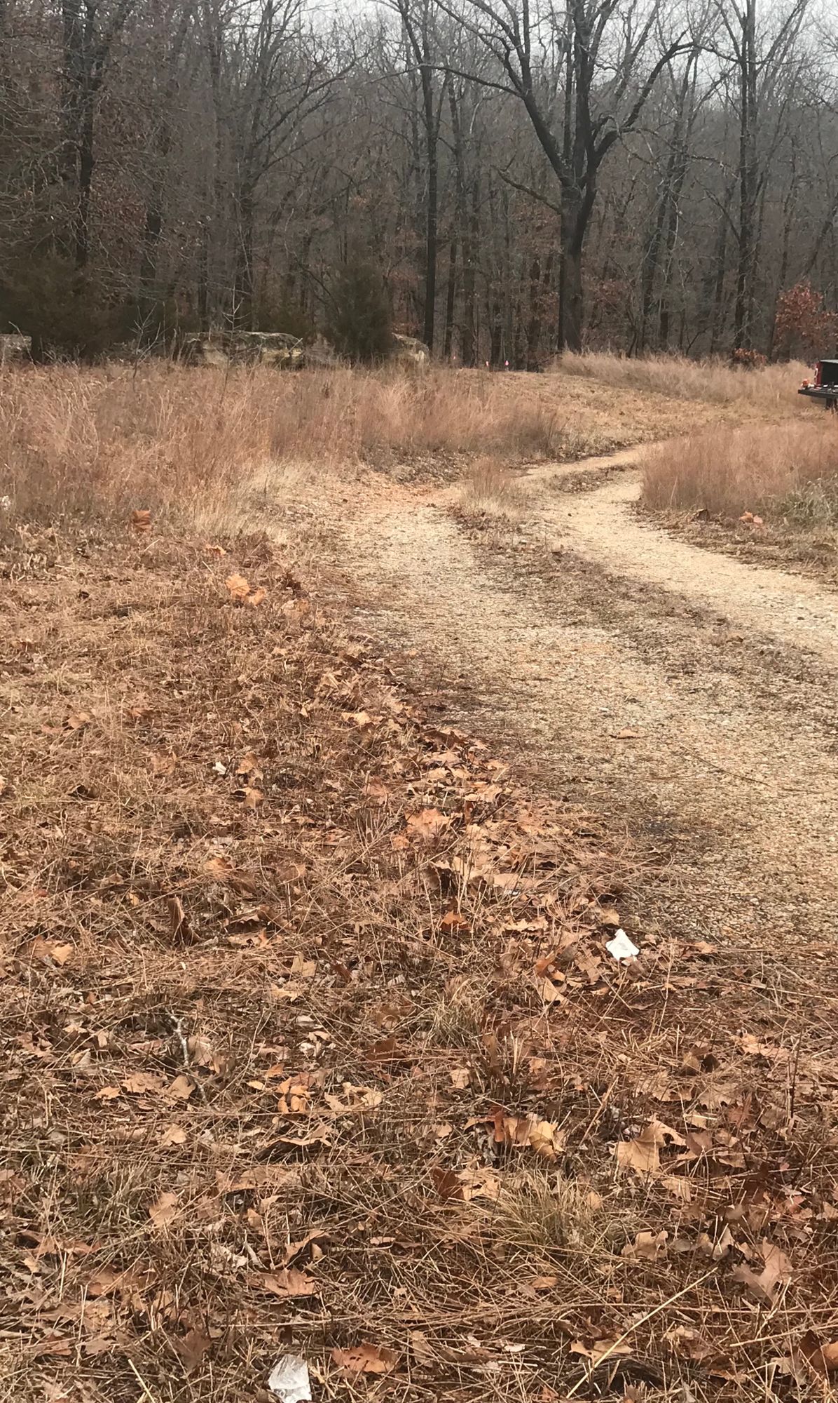 Looking down fairway from long pad, hole 1.