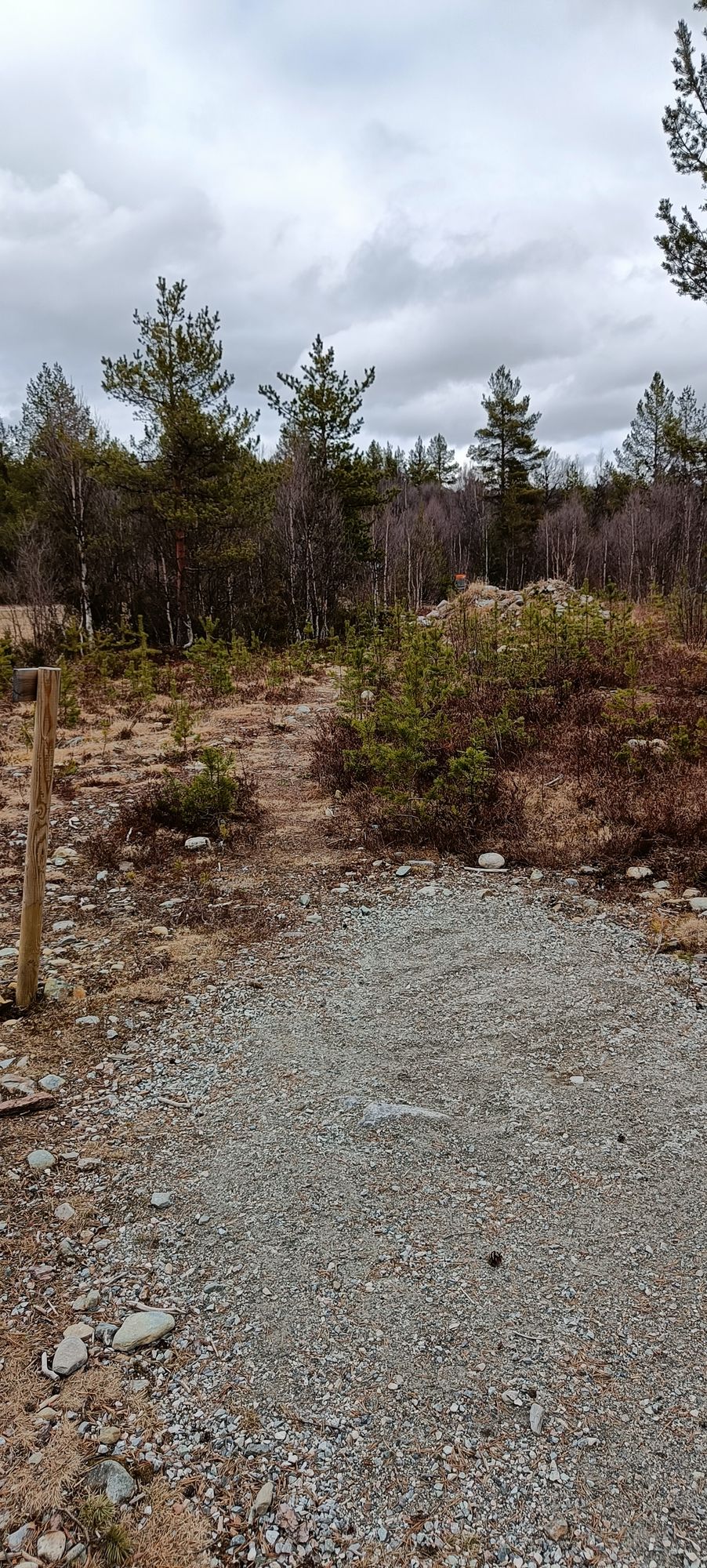 Hole 8