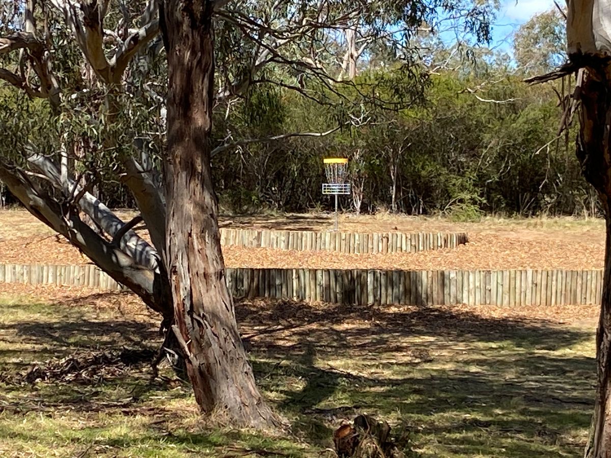 Hole 10 Vinyard Wall