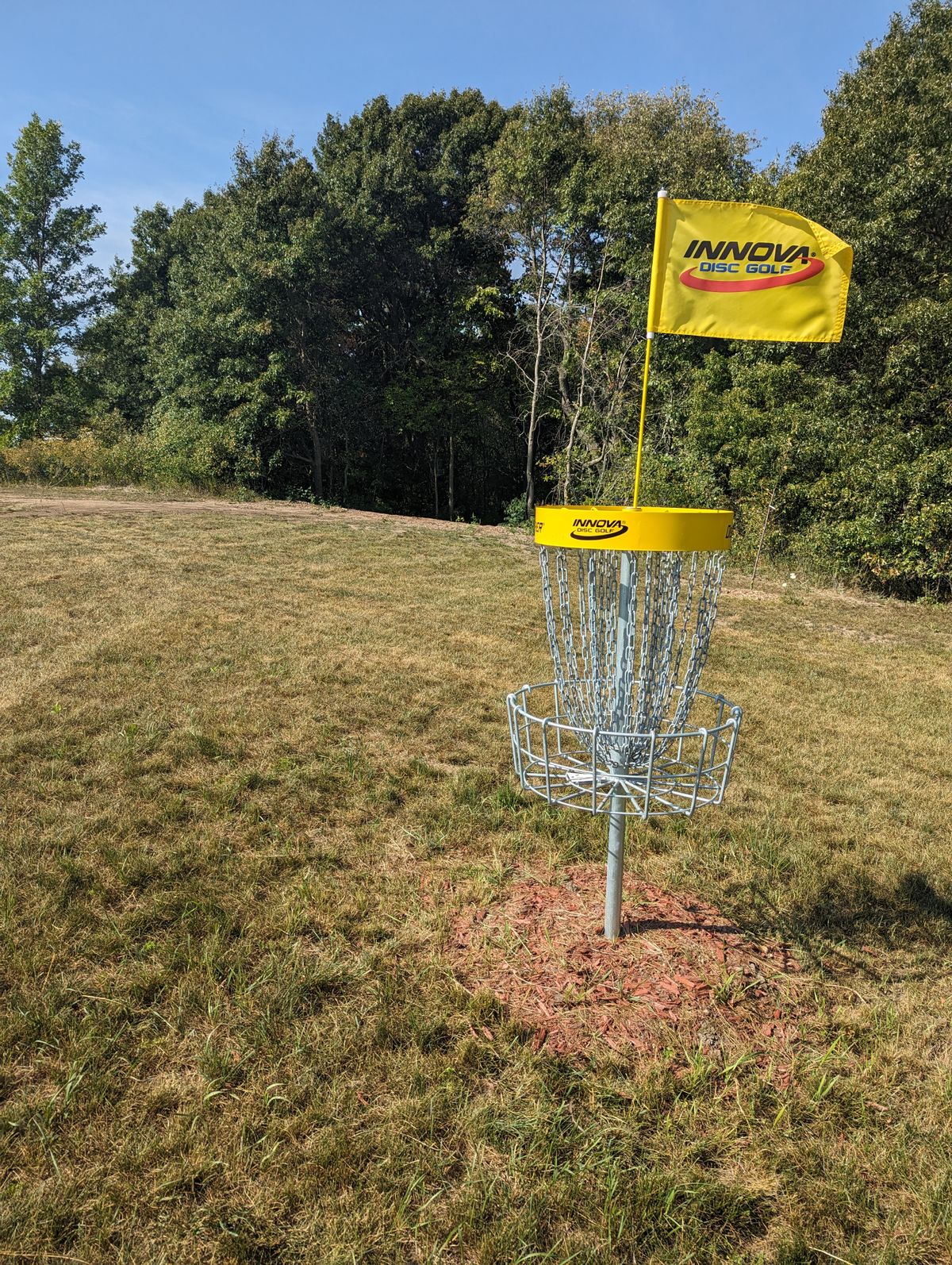 Long Basket looking back at fairway