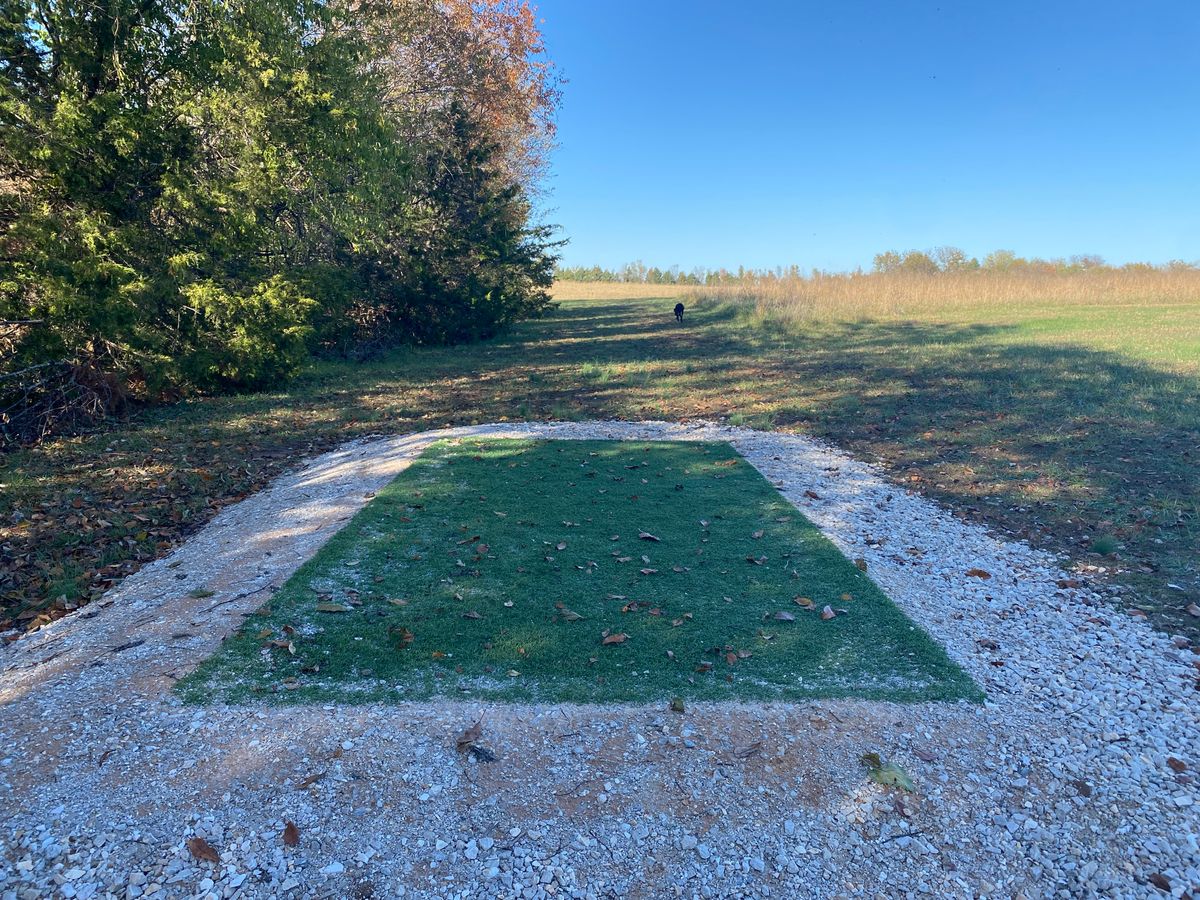 #11 tee pad