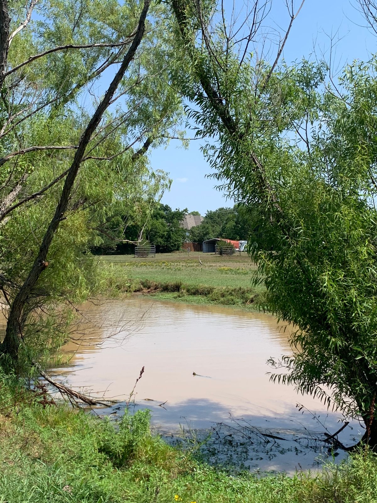 Tee Box of #4 Long Hurl 18