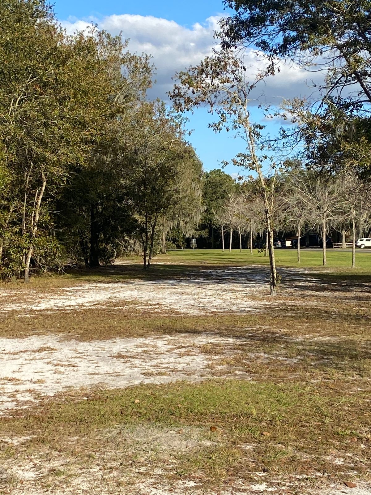 tee 4