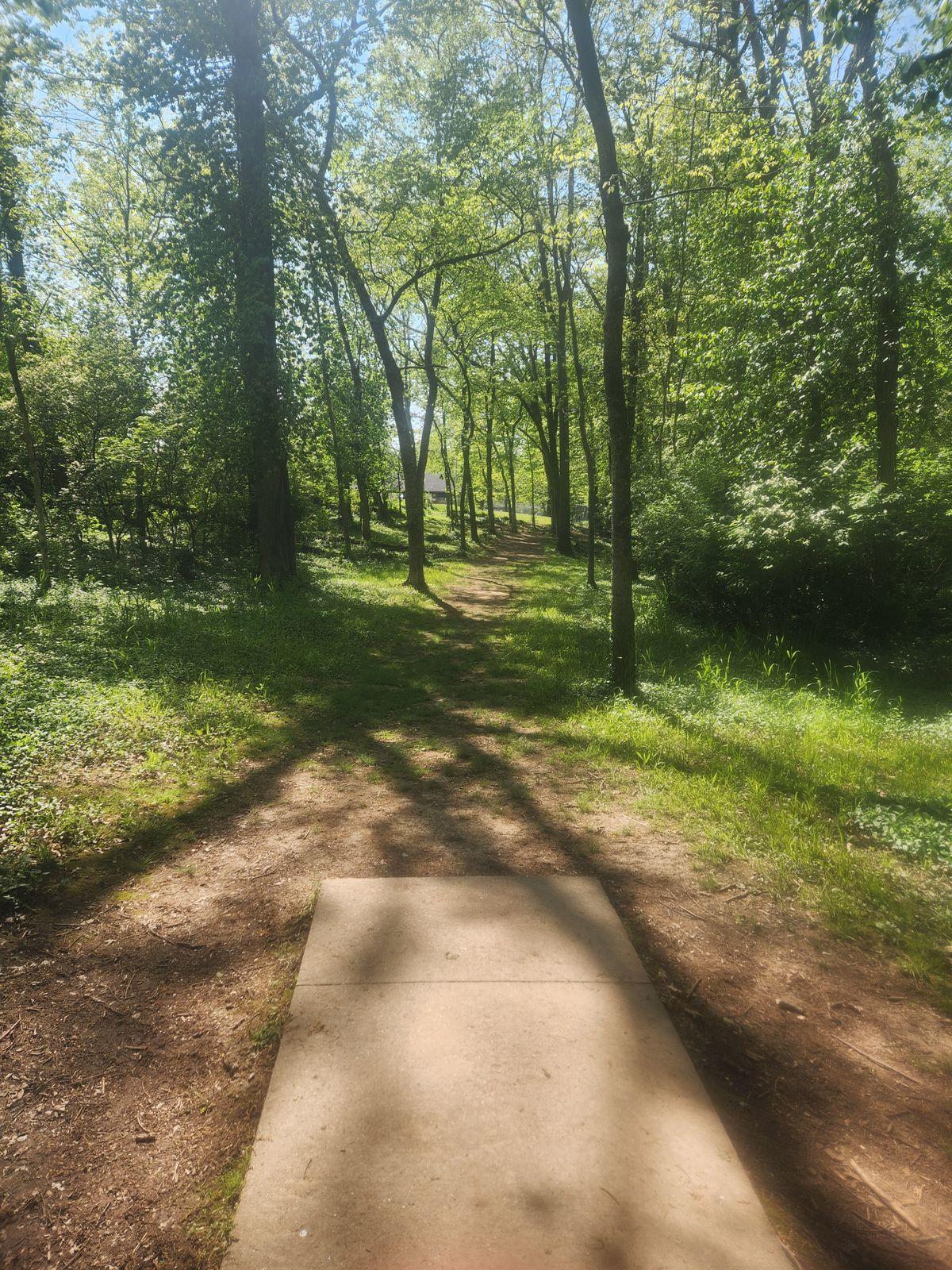 Hole 5