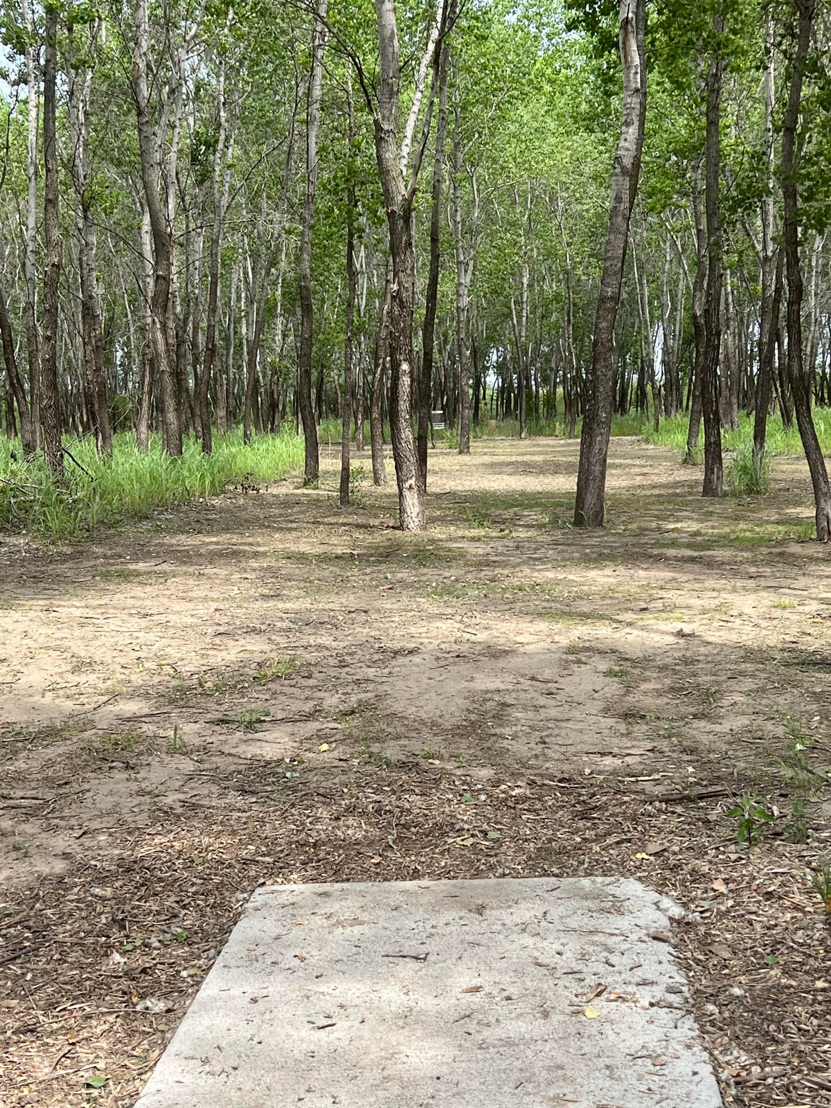 Hole 9
