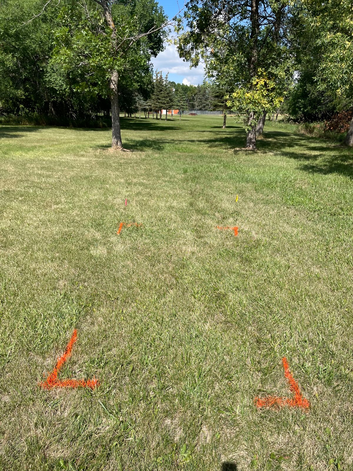 Hole 7 straight dog legging to the left