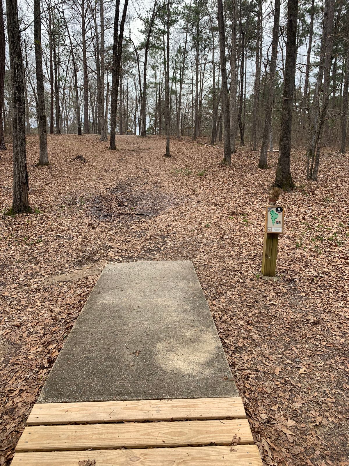 Hole 9