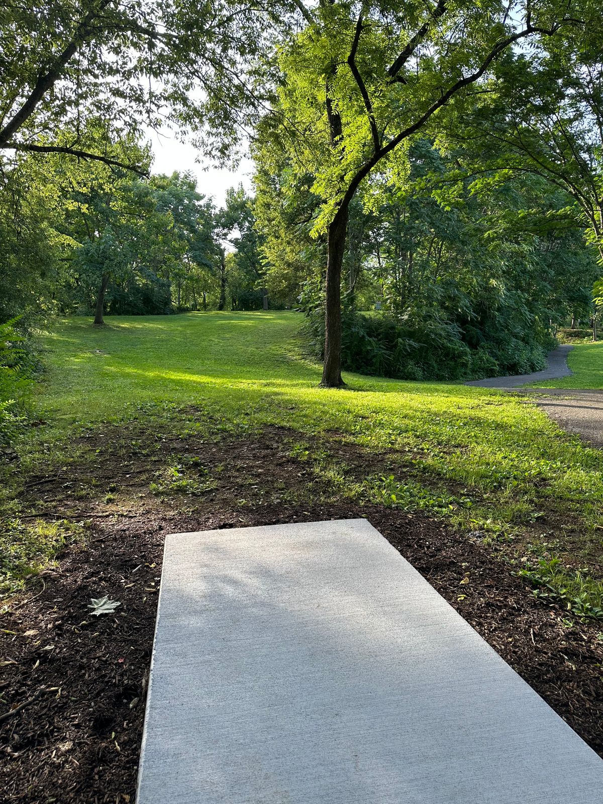 Hole 11 tee