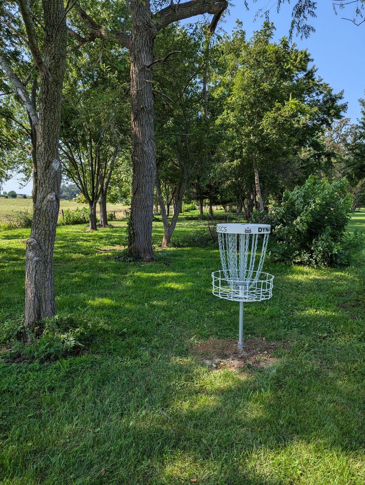 Basket of Hole 5, looking back towards the tee