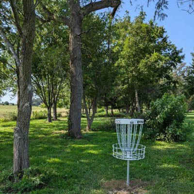 Basket of Hole 5, looking back towards the tee