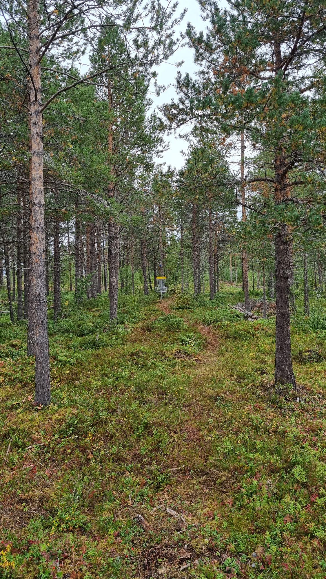Hole 12